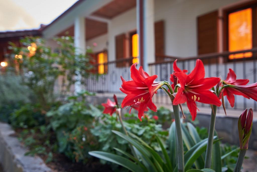 House Rena Apartment Vourvourou Exterior foto